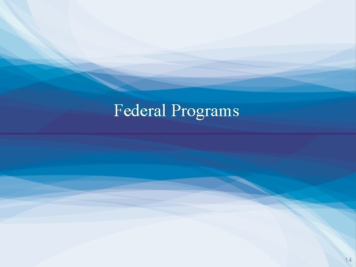 Federal Programs 14 
