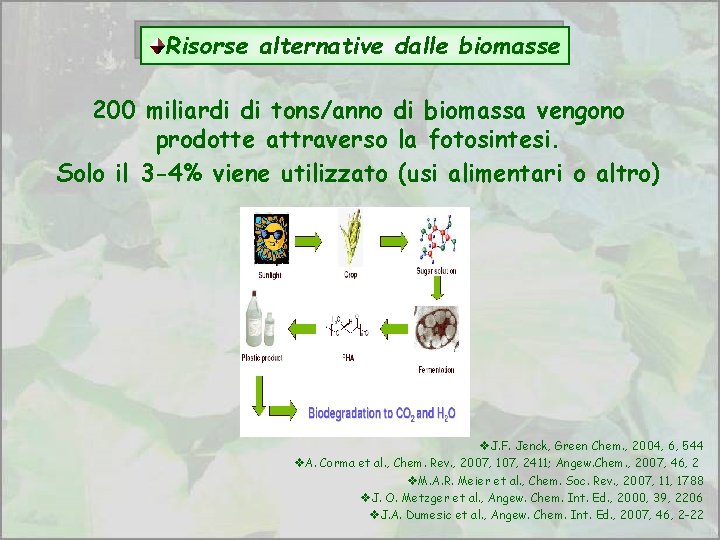 Risorse alternative dalle biomasse 200 miliardi di tons/anno di biomassa vengono prodotte attraverso la