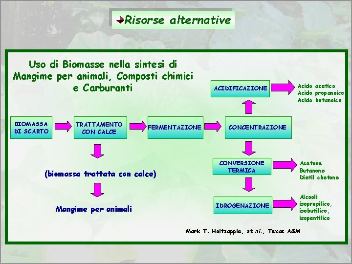 Risorse alternative Uso di Biomasse nella sintesi di Mangime per animali, Composti chimici e