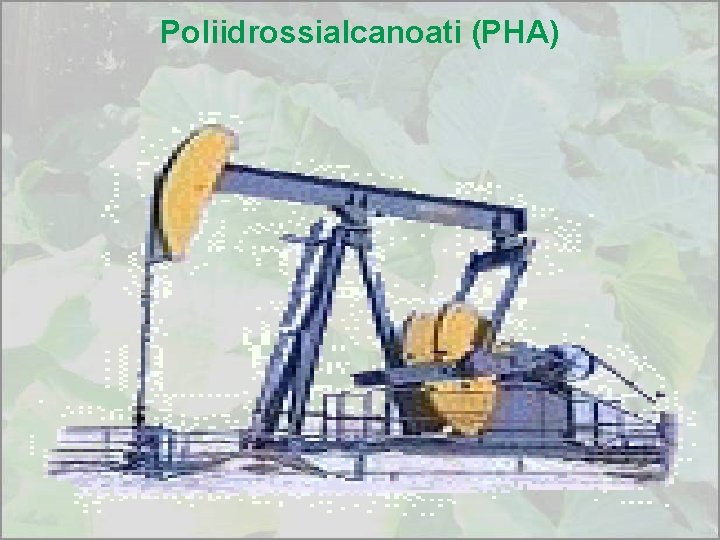 Poliidrossialcanoati (PHA) 