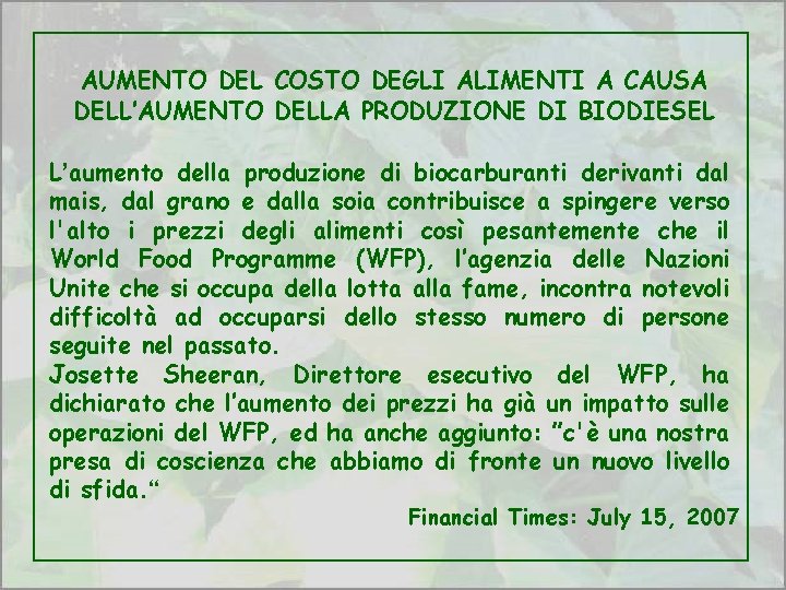 AUMENTO DEL COSTO DEGLI ALIMENTI A CAUSA DELL’AUMENTO DELLA PRODUZIONE DI BIODIESEL L’aumento della