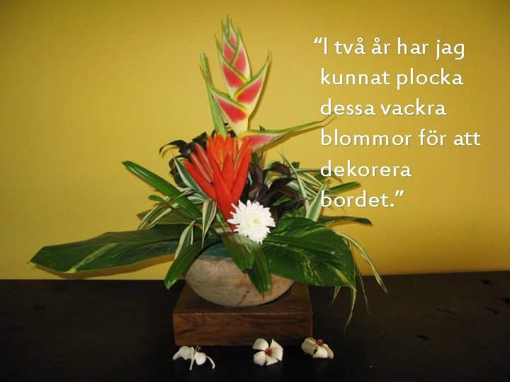 “I två år har jag kunnat plocka dessa vackra blommor för att dekorera bordet.