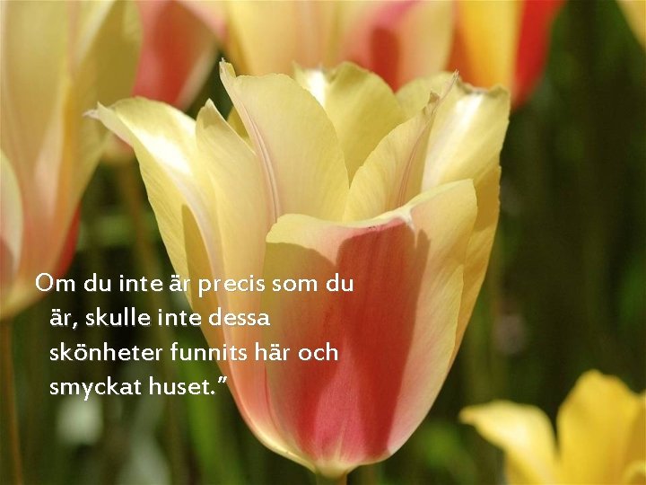 Om du inte är precis som du är, skulle inte dessa skönheter funnits här