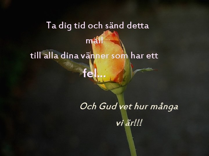 Ta dig tid och sänd detta mail till alla dina vänner som har ett