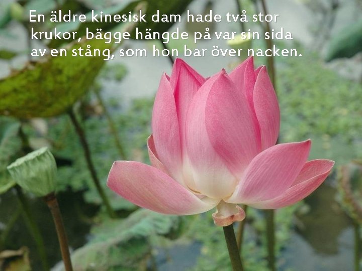 En äldre kinesisk dam hade två stor krukor, bägge hängde på var sin sida