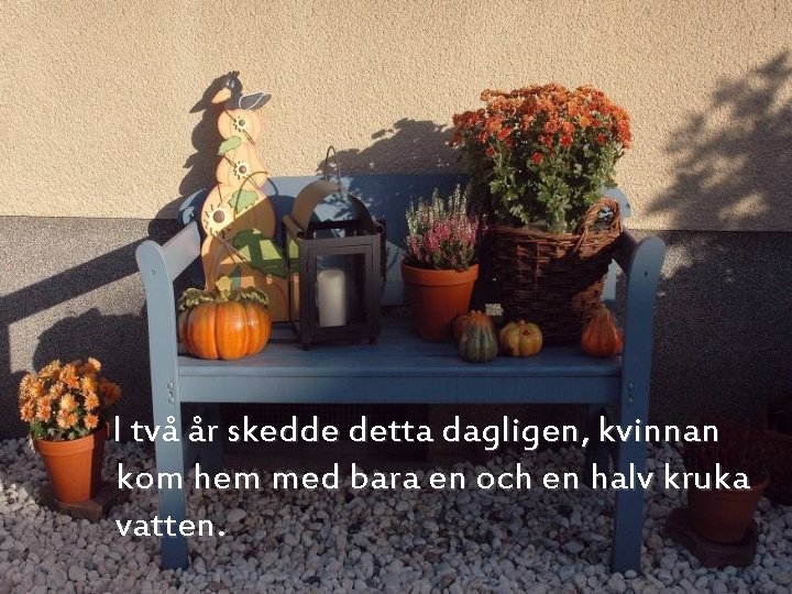 I två år skedde detta dagligen, kvinnan kom hem med bara en och en