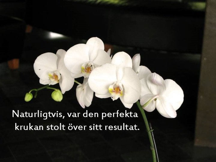 Naturligtvis, var den perfekta krukan stolt över sitt resultat. 