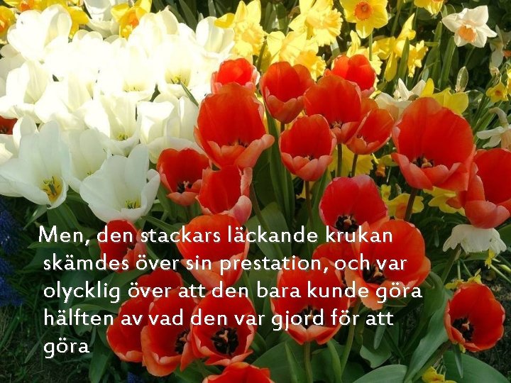 Men, den stackars läckande krukan skämdes över sin prestation, och var olycklig över att