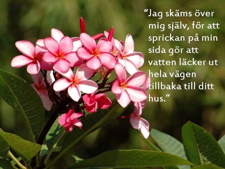 “Jag skäms över mig själv, för att sprickan på min sida gör att vatten