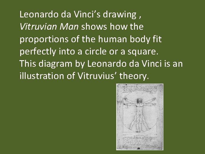 Leonardo da Vinci’s drawing , Vitruvian Man shows how the proportions of the human