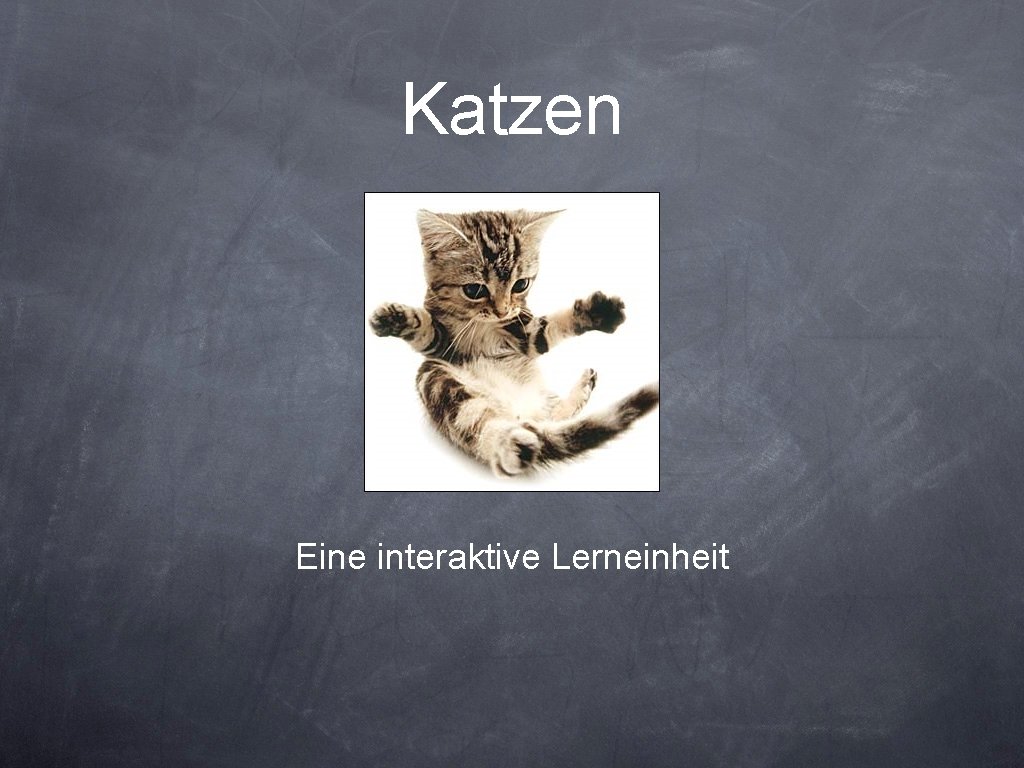 Katzen Eine interaktive Lerneinheit 