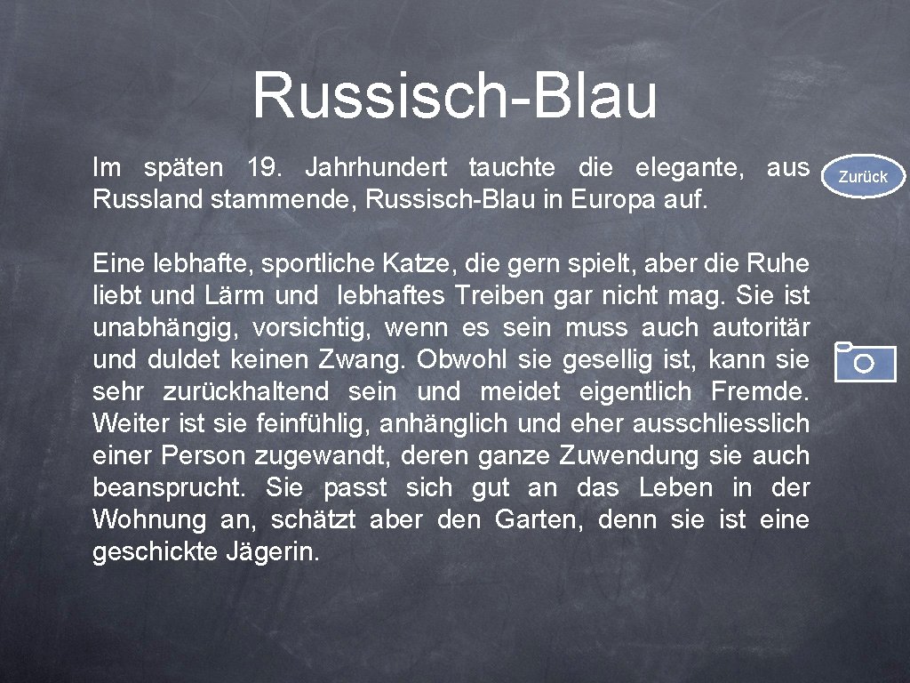 Russisch-Blau Im späten 19. Jahrhundert tauchte die elegante, aus Russland stammende, Russisch-Blau in Europa