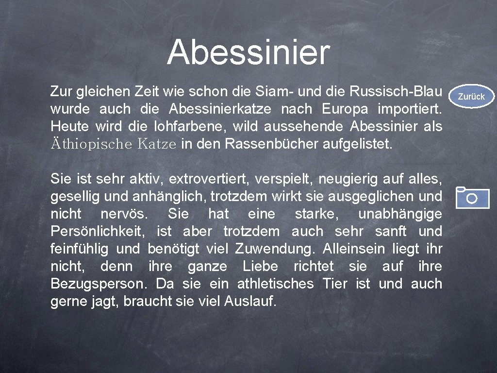 Abessinier Zur gleichen Zeit wie schon die Siam- und die Russisch-Blau wurde auch die