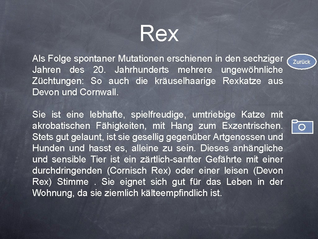 Rex Als Folge spontaner Mutationen erschienen in den sechziger Jahren des 20. Jahrhunderts mehrere
