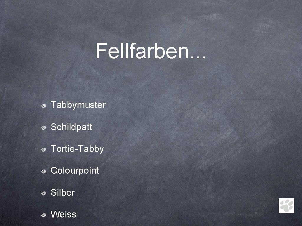 Fellfarben. . . Tabbymuster Schildpatt Tortie-Tabby Colourpoint Silber Weiss 