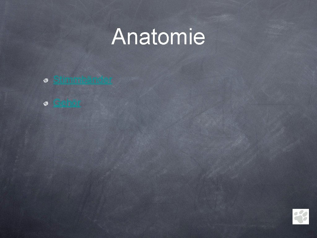 Anatomie Stimmbänder Gehör 