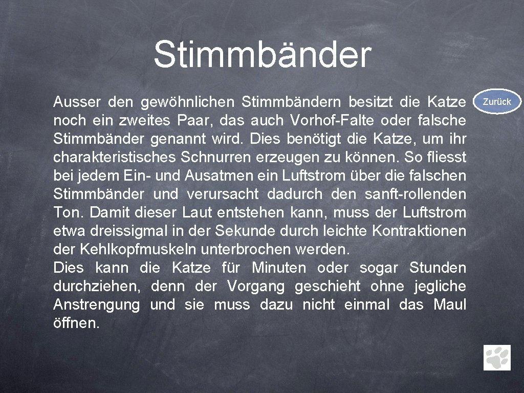 Stimmbänder Ausser den gewöhnlichen Stimmbändern besitzt die Katze noch ein zweites Paar, das auch