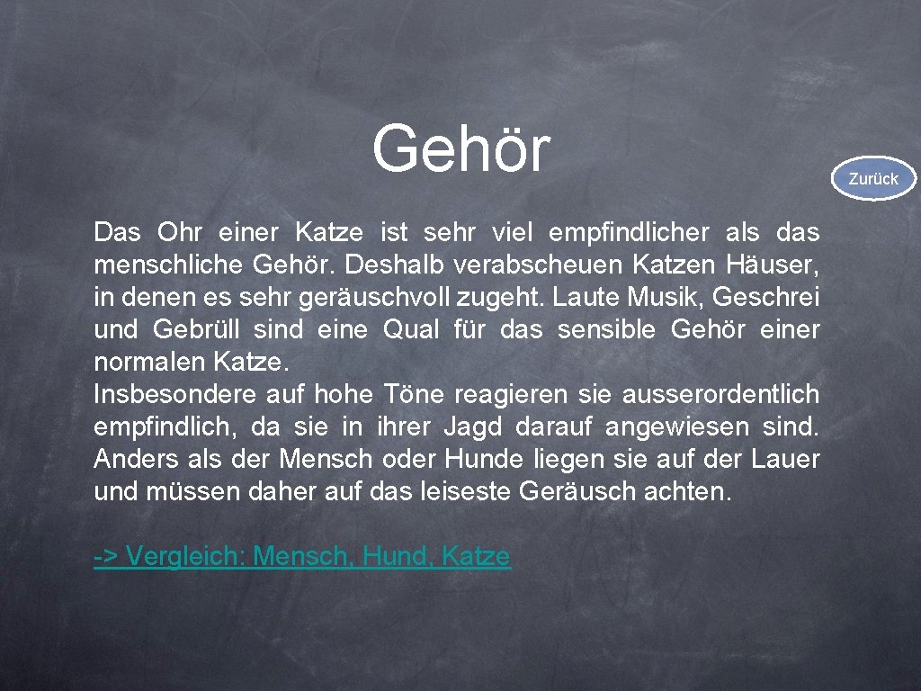 Gehör Das Ohr einer Katze ist sehr viel empfindlicher als das menschliche Gehör. Deshalb