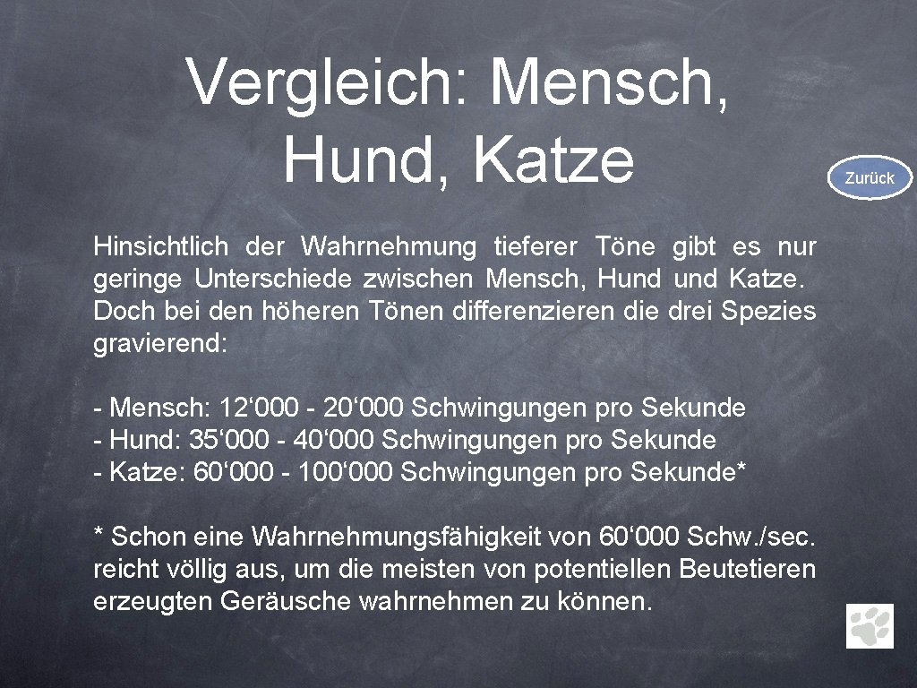 Vergleich: Mensch, Hund, Katze Hinsichtlich der Wahrnehmung tieferer Töne gibt es nur geringe Unterschiede