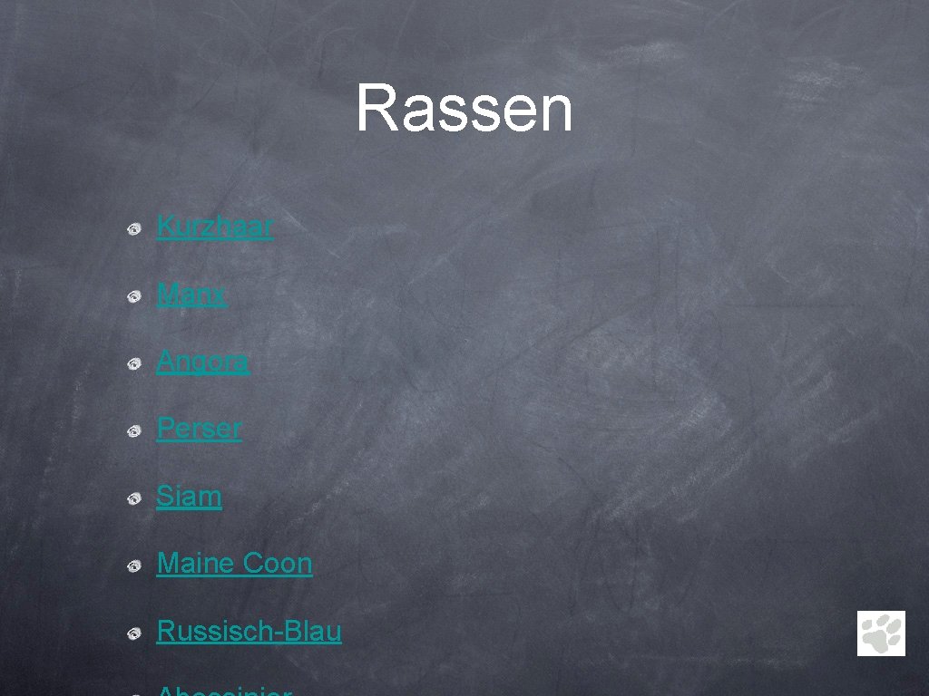 Rassen Kurzhaar Manx Angora Perser Siam Maine Coon Russisch-Blau 