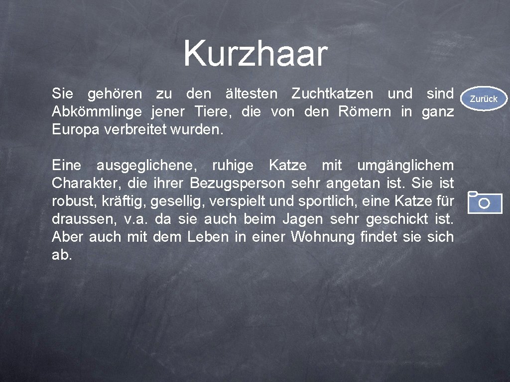 Kurzhaar Sie gehören zu den ältesten Zuchtkatzen und sind Abkömmlinge jener Tiere, die von