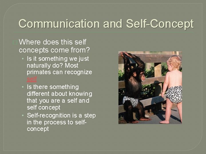 Communication and Self-Concept � Where does this self concepts come from? • Is it