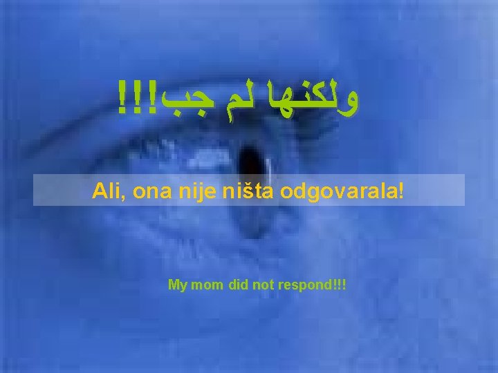 !!! ﻭﻟﻜﻨﻬﺎ ﻟﻢ ﺟﺐ Ali, ona nije ništa odgovarala! My mom did not respond!!!