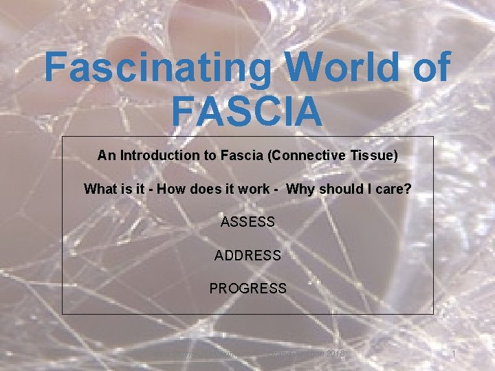 Fascinating World of FASCIA An Introduction to Fascia (Connective Tissue) What is it -