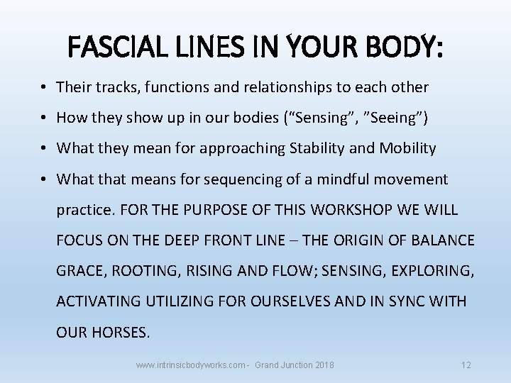 FASCIAL LINES IN YOUR BODY: • Their tracks, functions and relationships to each other