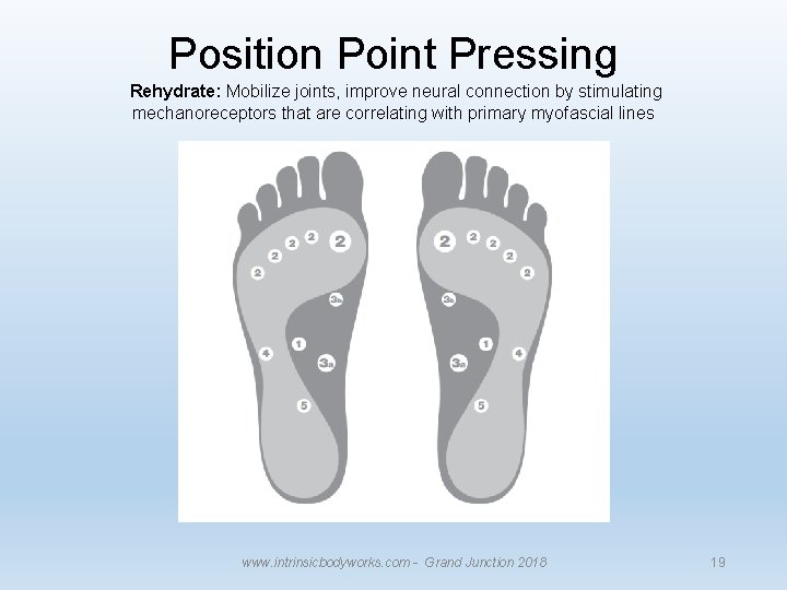 Position Point Pressing Rehydrate: Mobilize joints, improve neural connection by stimulating mechanoreceptors that are