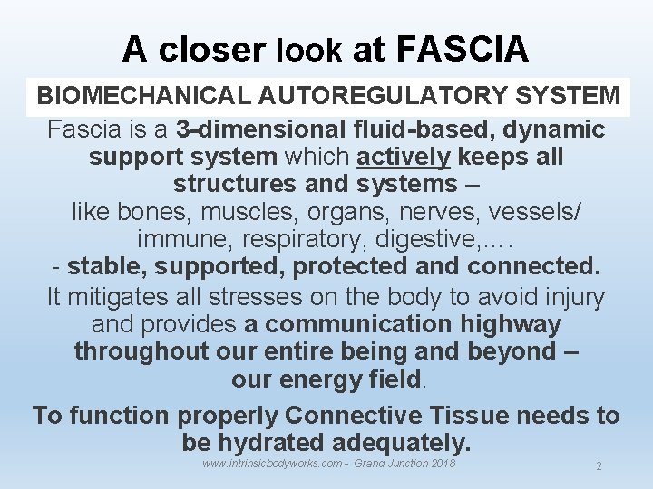 A closer look at FASCIA BIOMECHANICAL AUTOREGULATORY SYSTEM Fascia is a 3 -dimensional fluid-based,