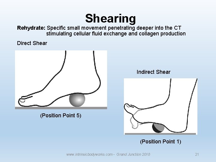 Shearing Rehydrate: Specific small movement penetrating deeper into the CT stimulating cellular fluid exchange