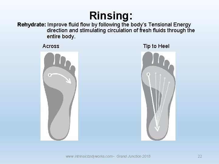 Rinsing: Rehydrate: Improve fluid flow by following the body’s Tensional Energy direction and stimulating