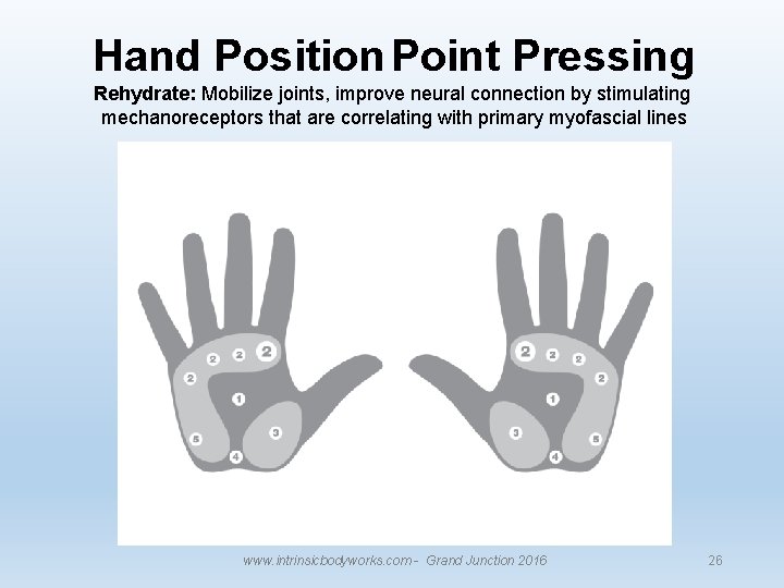 Hand Position Point Pressing Rehydrate: Mobilize joints, improve neural connection by stimulating mechanoreceptors that