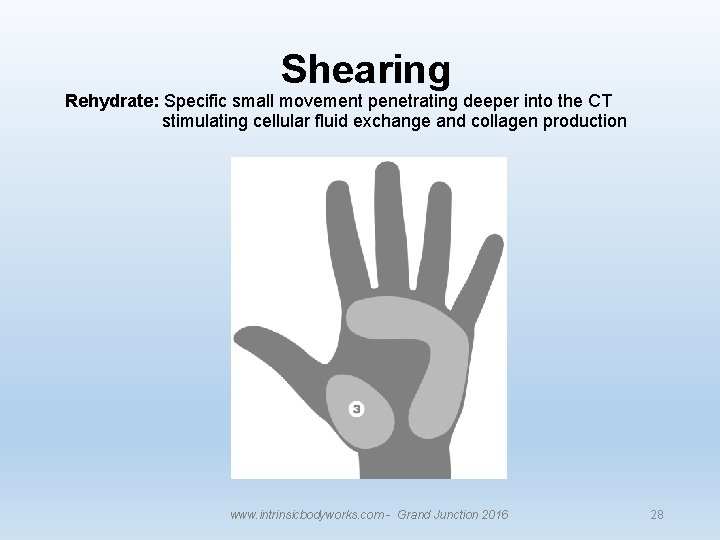 Shearing Rehydrate: Specific small movement penetrating deeper into the CT stimulating cellular fluid exchange