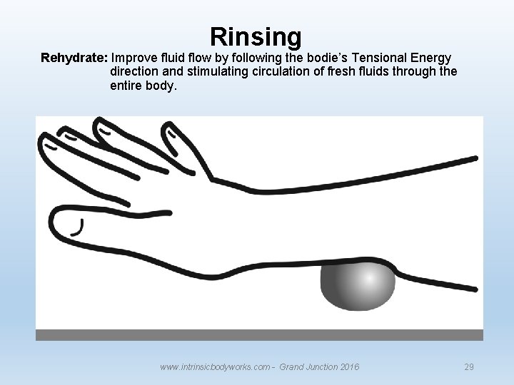 Rinsing Rehydrate: Improve fluid flow by following the bodie’s Tensional Energy direction and stimulating