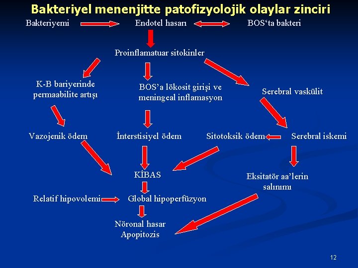 Bakteriyel menenjitte patofizyolojik olaylar zinciri Bakteriyemi Endotel hasarı BOS‘ta bakteri Proinflamatuar sitokinler K-B bariyerinde