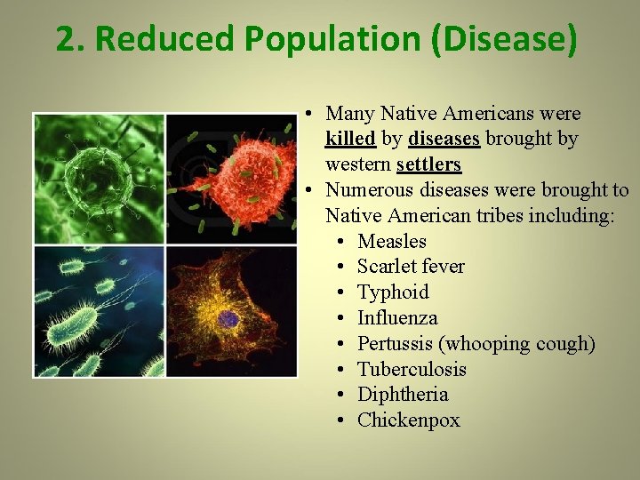 2. Reduced Population (Disease) • Many Native Americans were killed by diseases brought by