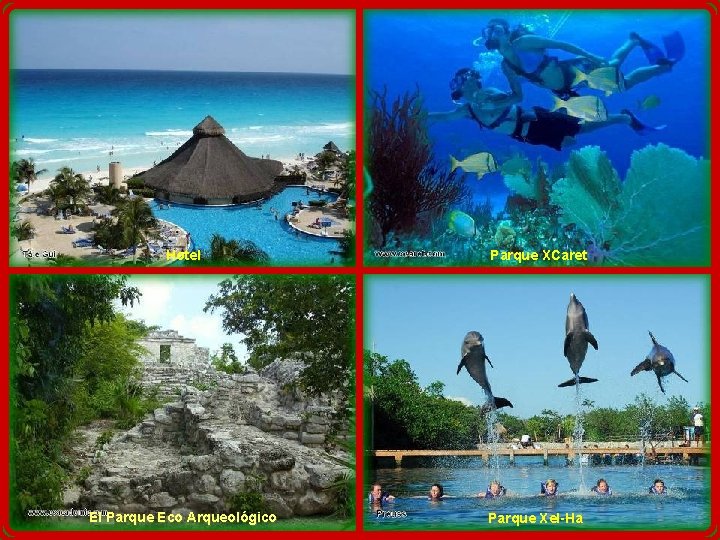 Hotel Parque XCaret El Parque Eco Arqueológico Parque Xel-Ha Hotel Parque XCaret El Parque Eco Arqueológico Parque Xel-Ha