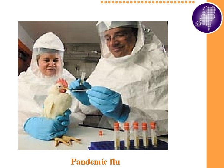 Pandemic flu Pandemic flu
