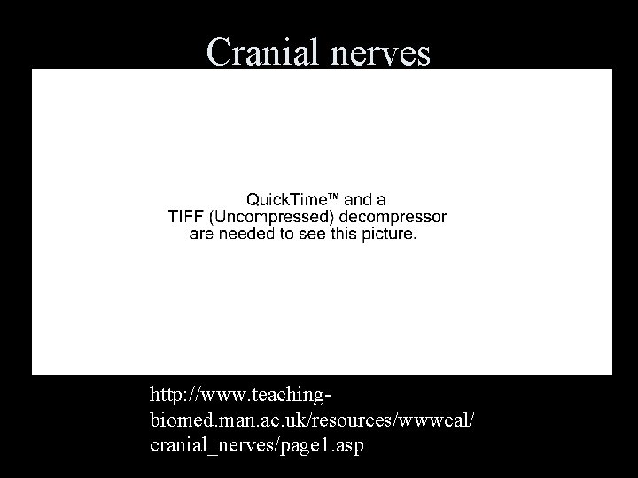 Cranial nerves http: //www. teachingbiomed. man. ac. uk/resources/wwwcal/ cranial_nerves/page 1. asp 