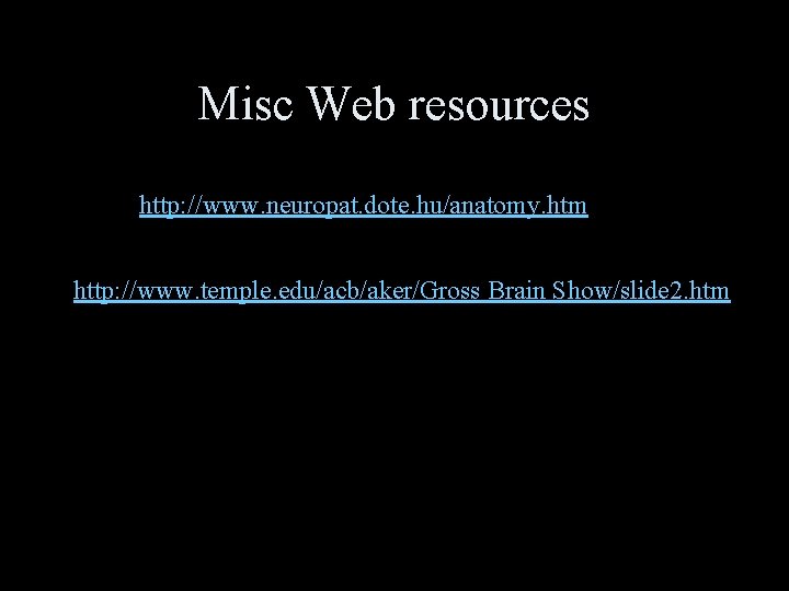 Misc Web resources http: //www. neuropat. dote. hu/anatomy. htm http: //www. temple. edu/acb/aker/Gross Brain