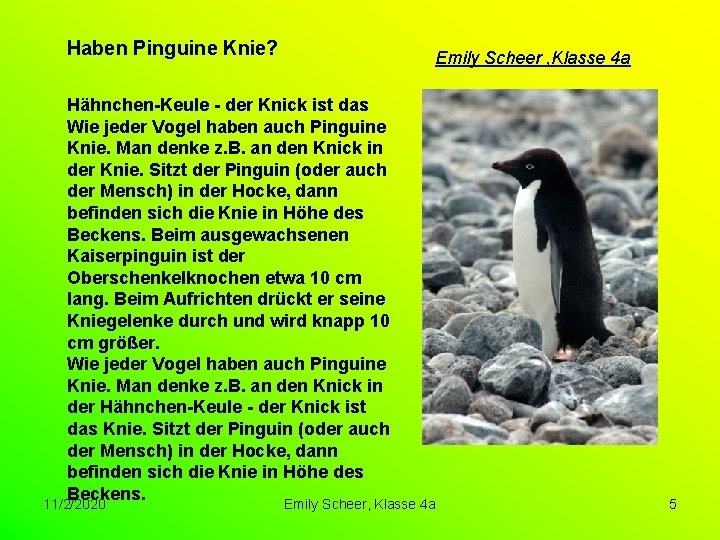 Haben Pinguine Knie? Hähnchen-Keule - der Knick ist das Wie jeder Vogel haben auch