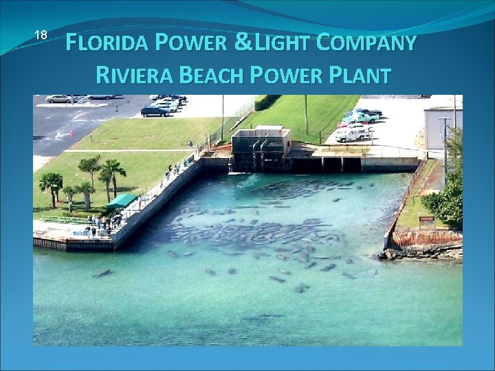 18 FLORIDA POWER &LIGHT COMPANY RIVIERA BEACH POWER PLANT 