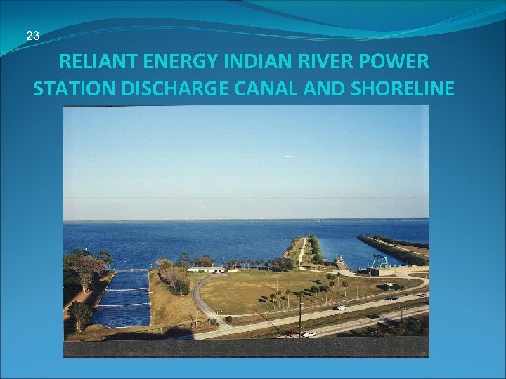 23 RELIANT ENERGY INDIAN RIVER POWER STATION DISCHARGE CANAL AND SHORELINE 