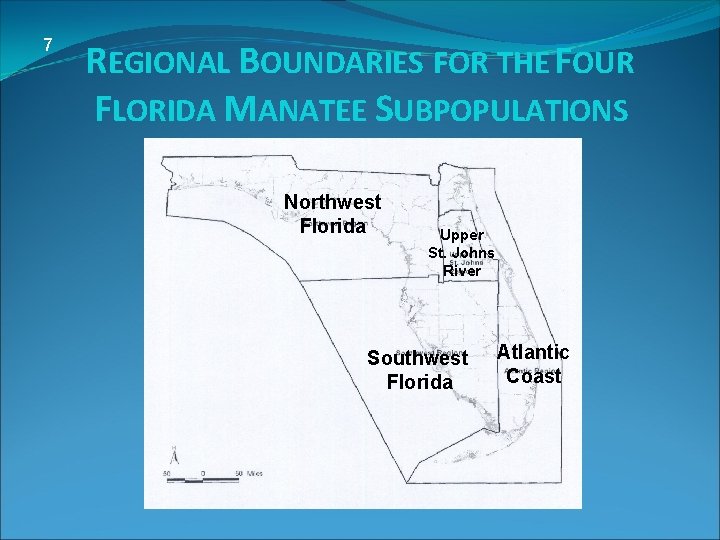 7 REGIONAL BOUNDARIES FOR THE FOUR FLORIDA MANATEE SUBPOPULATIONS Northwest Florida Upper St. Johns