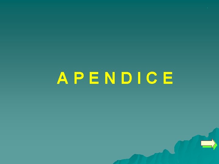 . APENDICE 