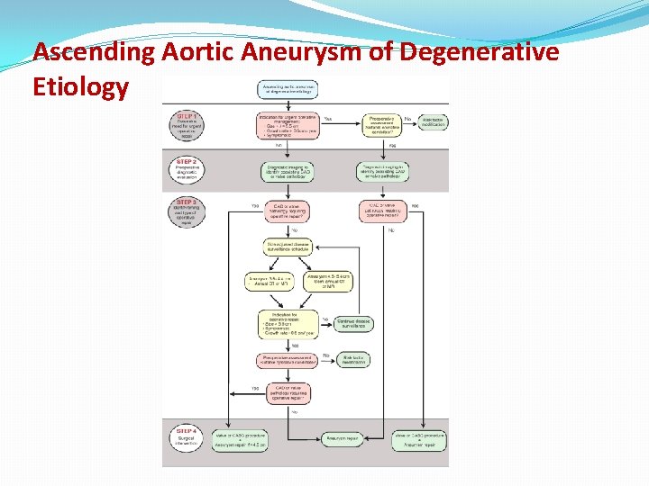 Ascending Aortic Aneurysm of Degenerative Etiology 