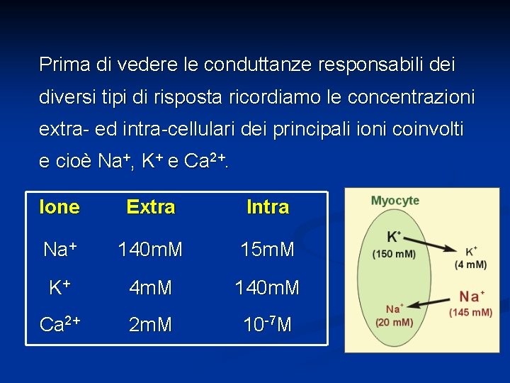 Prima di vedere le conduttanze responsabili dei diversi tipi di risposta ricordiamo le concentrazioni