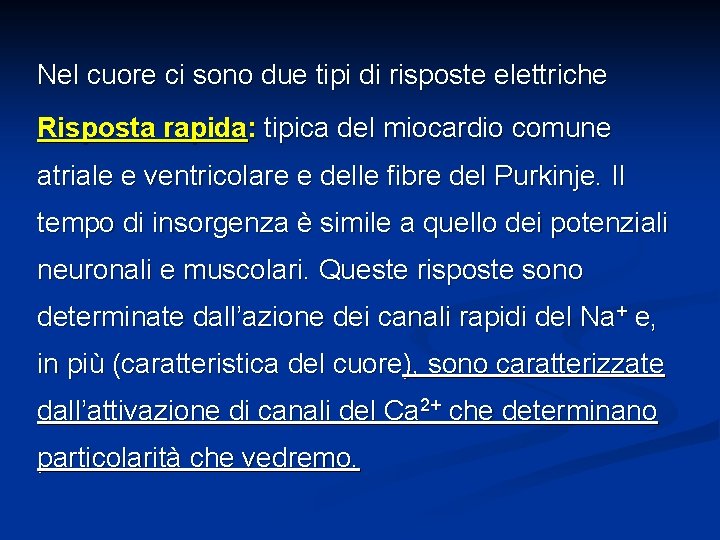 Nel cuore ci sono due tipi di risposte elettriche Risposta rapida: tipica del miocardio